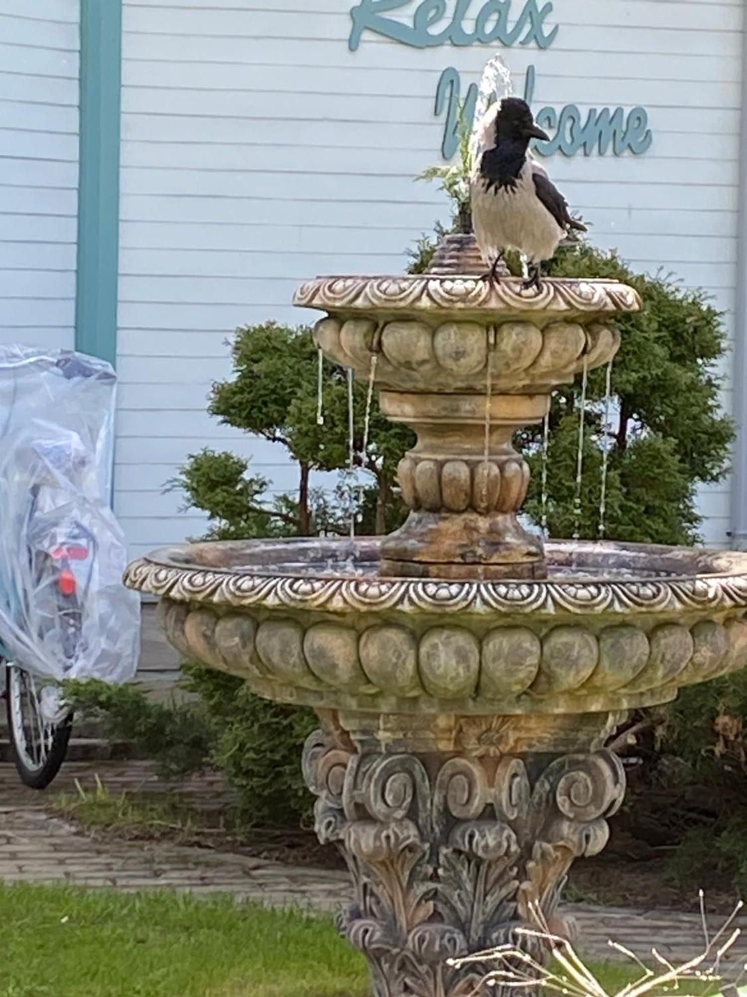 Parus Boutique Hotel Jurkalne Zewnętrze zdjęcie