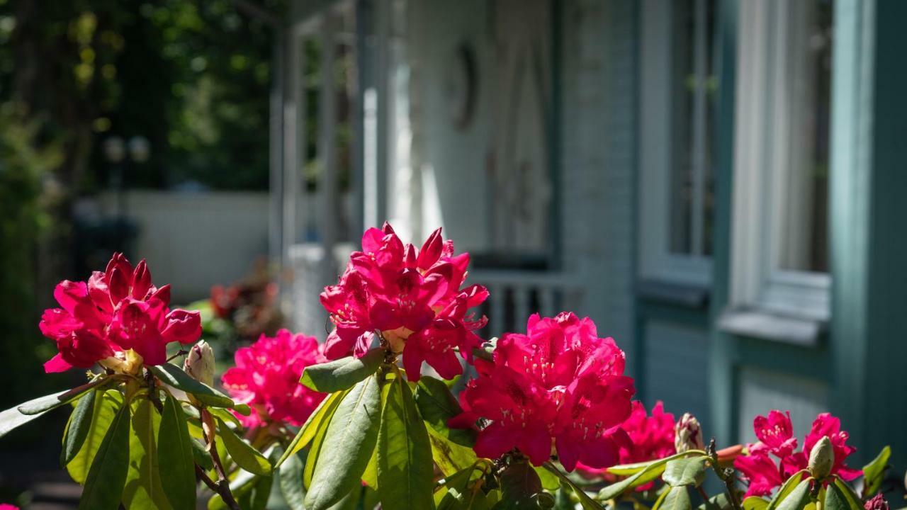 Parus Boutique Hotel Jurkalne Zewnętrze zdjęcie